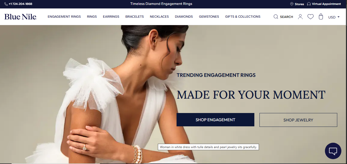 blue-nile-homepage.png