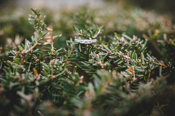 engagement ring in a Christmas tree