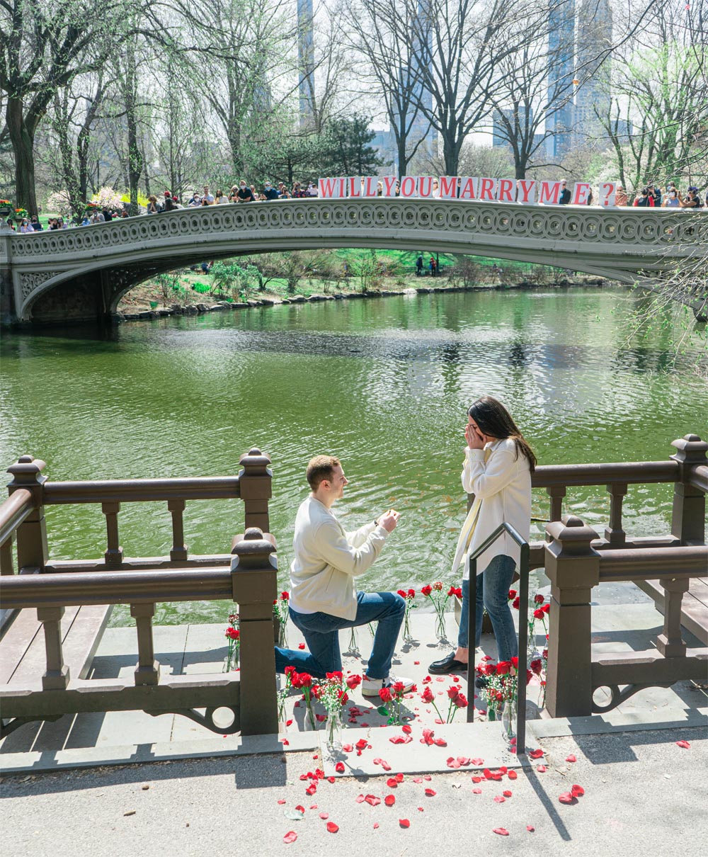 a woman being proposed to with roses by a river and a bridge