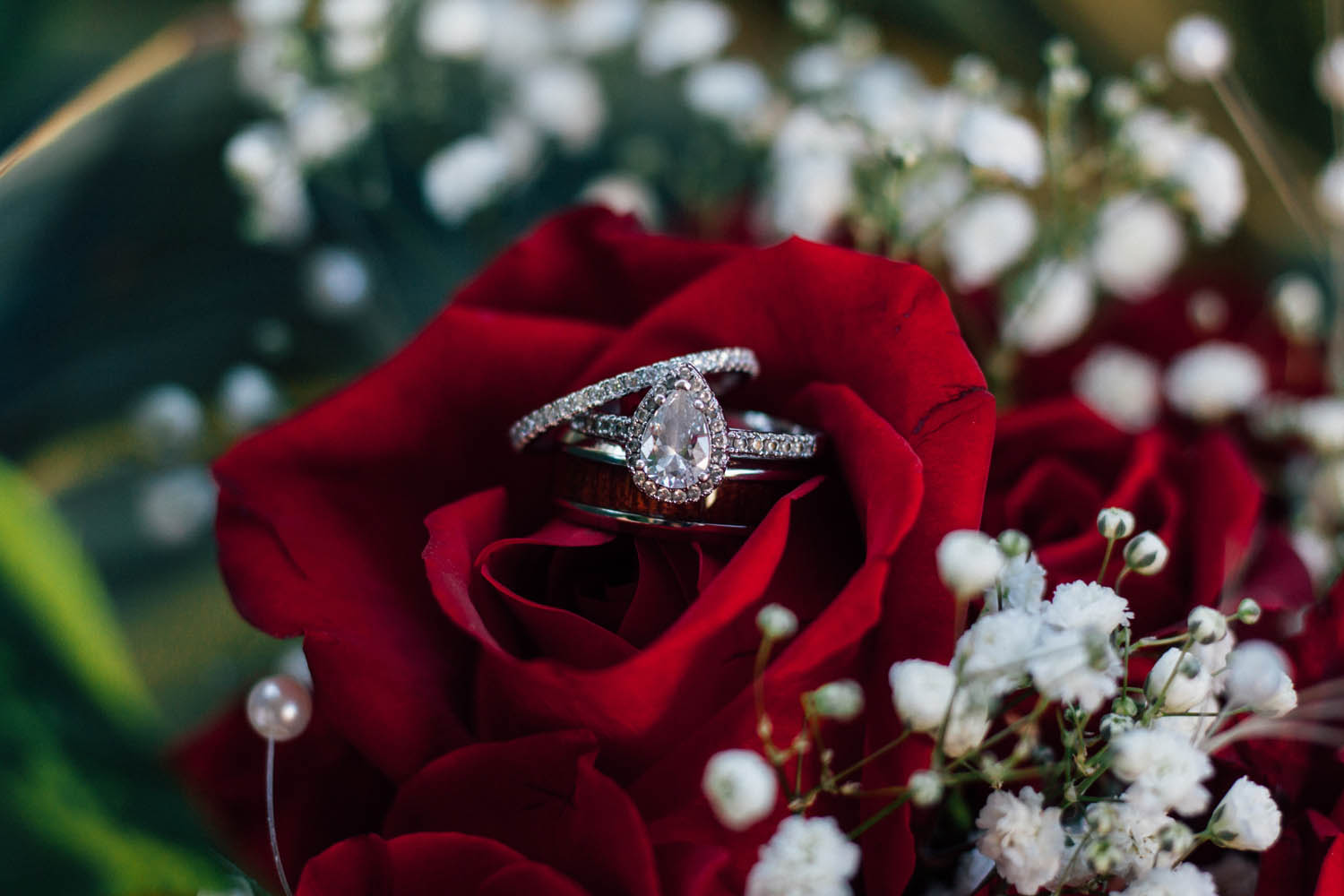 wedding and engagement rings in a red rose
